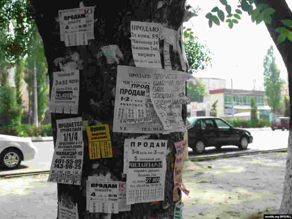 Июн куни тасвирга туширилган бу нархлар бир ой ўтиб-ўтмай¸ яна ўтмишга айланди. - Тошкентда эълон 