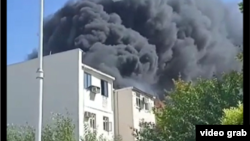 "Turkmen.news" neşiriniň suraty