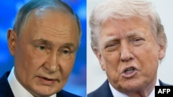 Владимир Путин и Дональд Трамп 