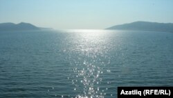  Магадан яклары белән танышу 