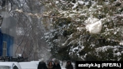 На улицах Бишкека, декабрь 2011 г.