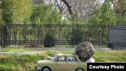 Ўзбекистонда ҳайдовчилик гувоҳномасига "ишқибоз"лар бундан буëғига "Ватанпарвар"га боради.