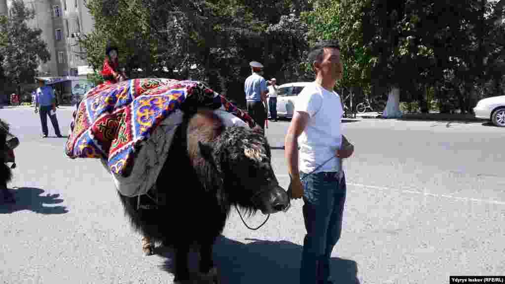 Шаар тургундары иш-чара тууралуу алдын ала жакшыраак жарнамаласа жергиликтүү элге да кызык болмок дешүүдө.