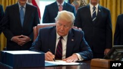 دونالد ترامپ، رئیس جمهوری آمریکا