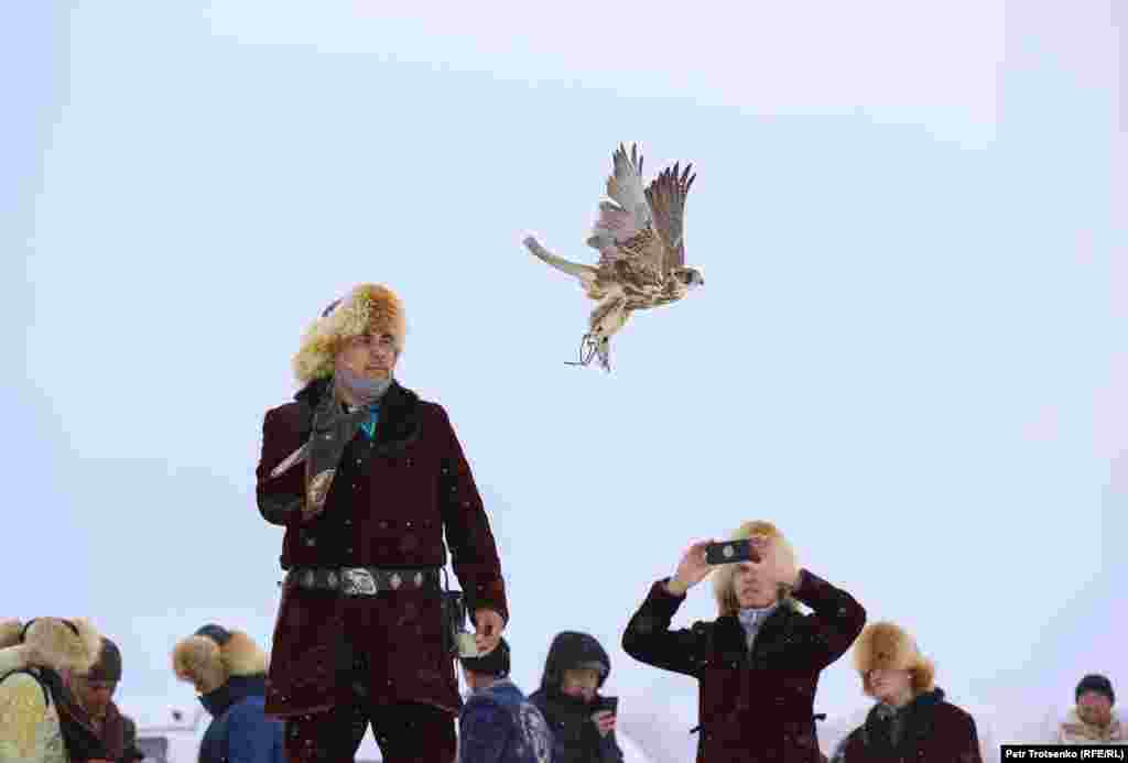 Одне&nbsp;із завдань&nbsp;для&nbsp;сокола-балобана:&nbsp;спіймати&nbsp;на&nbsp;льоту&nbsp;голуба.&nbsp;Мисливець&nbsp;запускає&nbsp;птаха за&nbsp;здобиччю