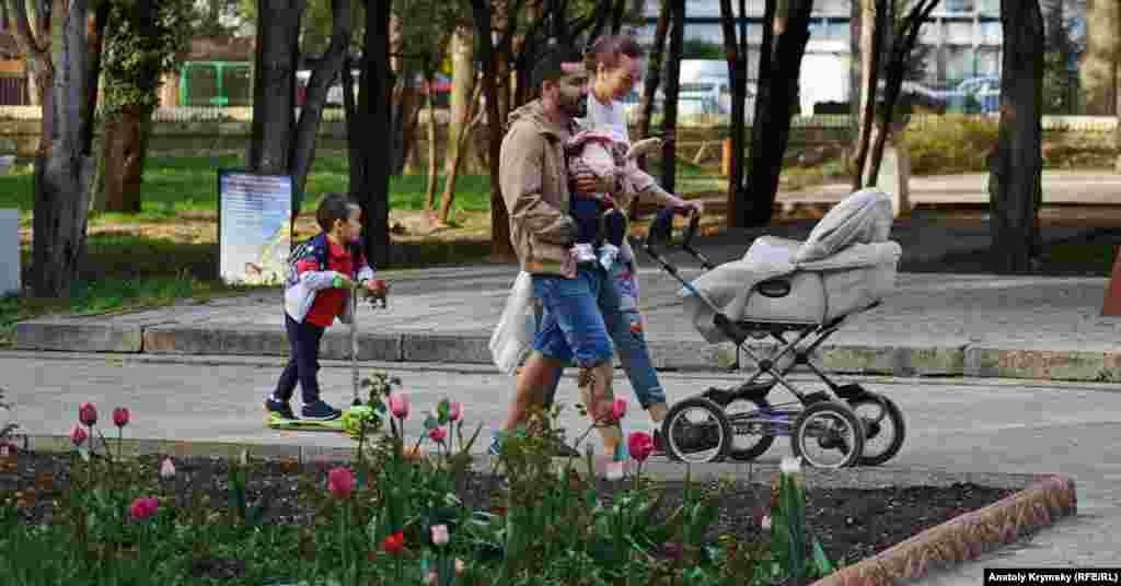 Lâleler kollektsiyasınıñ yarısı Niderland cınısları ile taqdim etilmekte