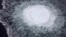 The leak spewed gas into the Baltic Sea.