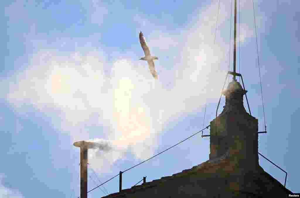 Белый дым поднимается из трубы Сикстинской капеллы, указывая на избрание нового Папы в Ватикане, 8 мая 2025 года. REUTERS/DYLAN MARTINEZ