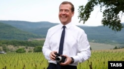 Російський прем’єр Дмитро Медведєв відвідує аграрне підприємство в околицях Ялти (червень 2015 року)