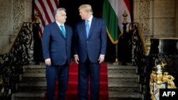Венгриянын өкмөт башчысы Виктор Орбан жана АКШнын мурдагы президенти Дональд Трамп. 8-март, 2024-жыл. Орбандын кеңсеси тараткан сүрөт.