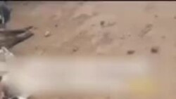 Türkmenistanda mallar köpçülikleýin gyrylýar