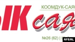 Кол салууга журналисттин "Ачык саясат" гезитиндеги сын макалалары себеп болгону айтылууда.