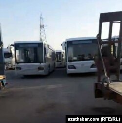 Arkadaga getirilen täze awtobuslar
