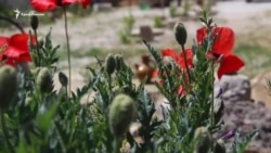 1944-ten eşyalar. Hatıra çölmegi (video)