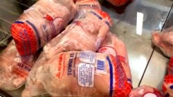 Aşgabatda Çempionatdan öň towuk eti köpeldi, emma olar 'agaç çeýnän ýaly'