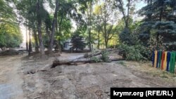 Cнесенное дерево в Детском парке в Симферополе. Симферополь, Украина, 30 июня 2025 года