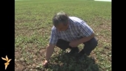 Татарстанда корылык