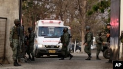 Эквадордогу тополоң чыккан түрмөнүн айланасы.