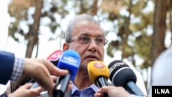 علی ربیعی، سخنگوی دولت ایران